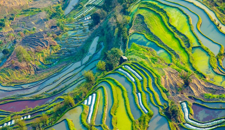 故城县广告片拍摄公司数字技术驱动的广告革命
